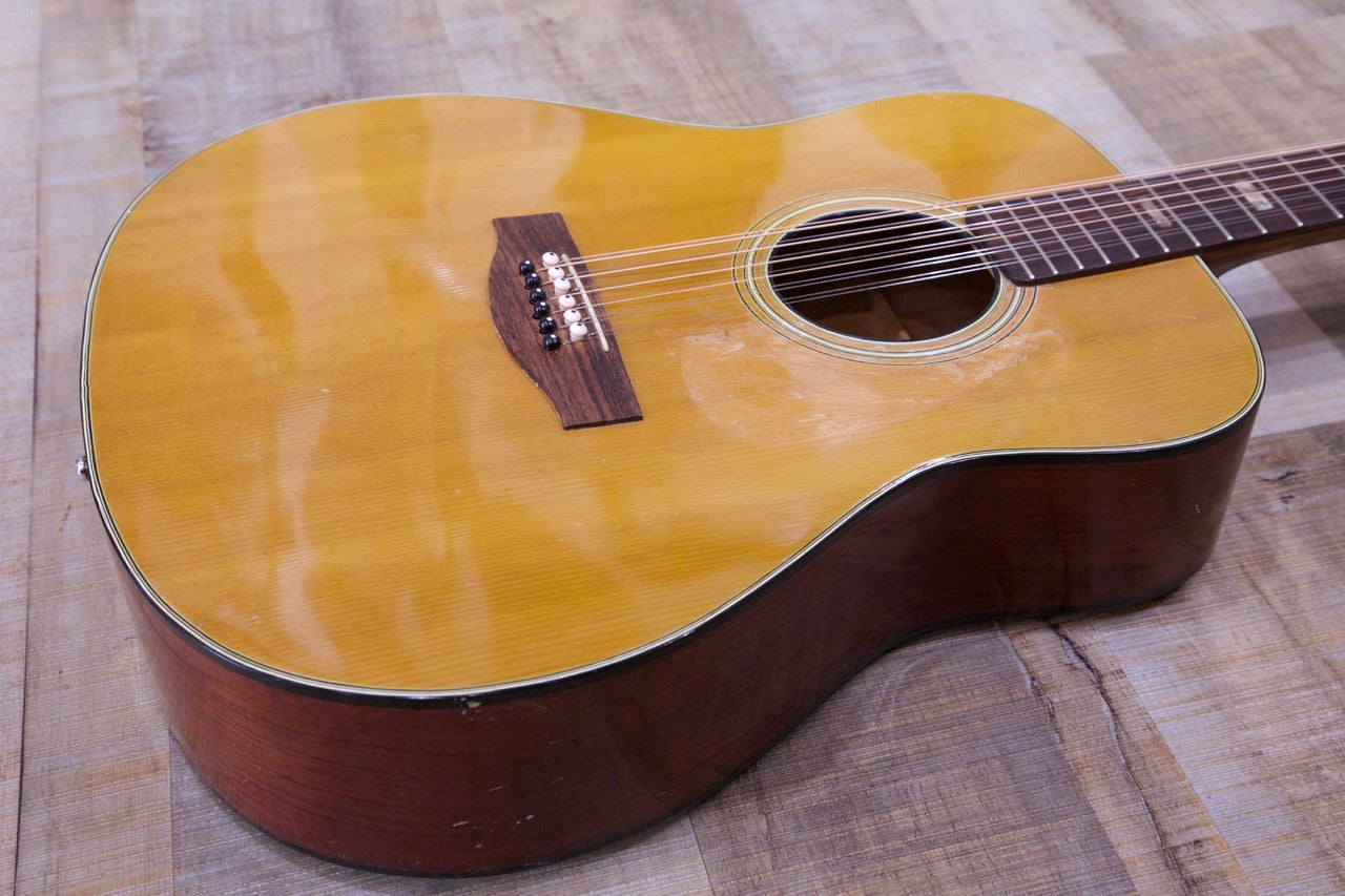 Suzuki 12 String Acoustic F-180