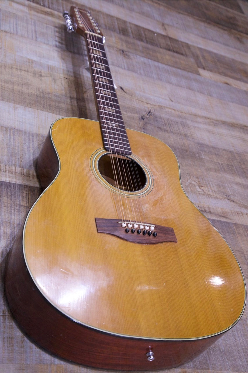 Suzuki 12 String Acoustic F-180