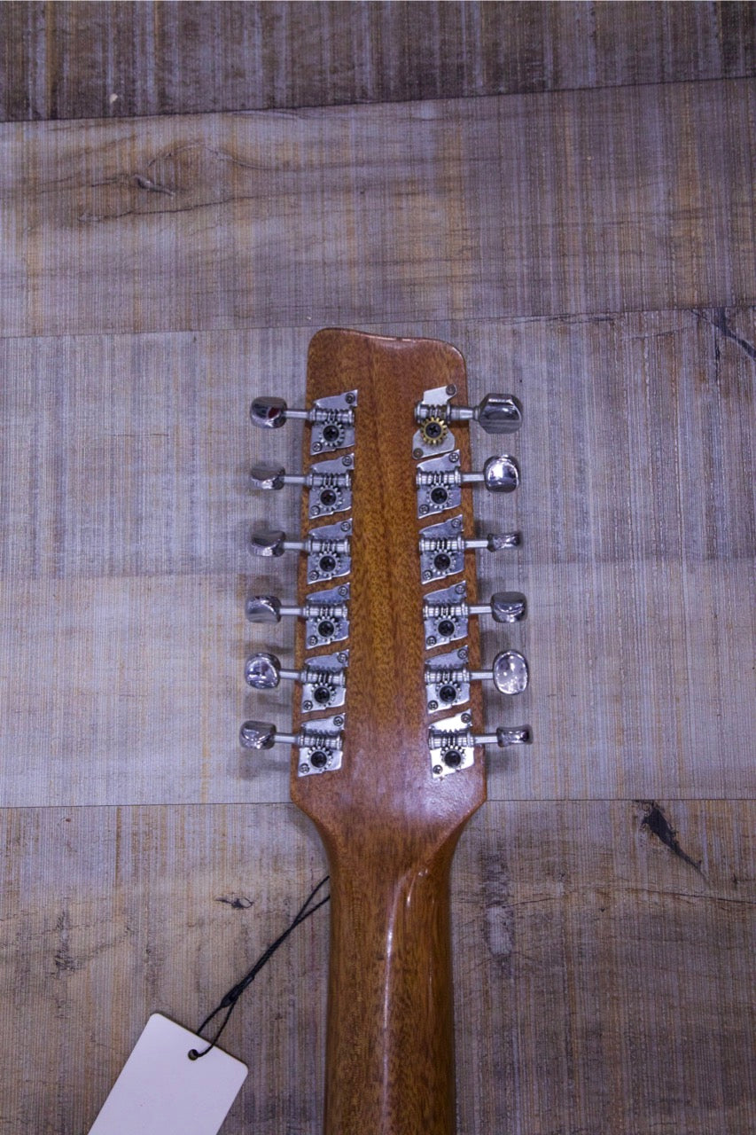Suzuki 12 String Acoustic F-180