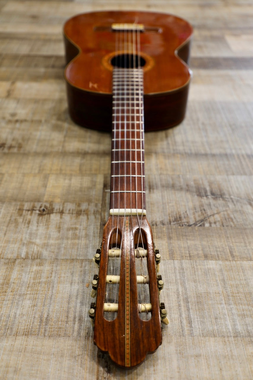 Suzuki Model 80 Classical Acoustic