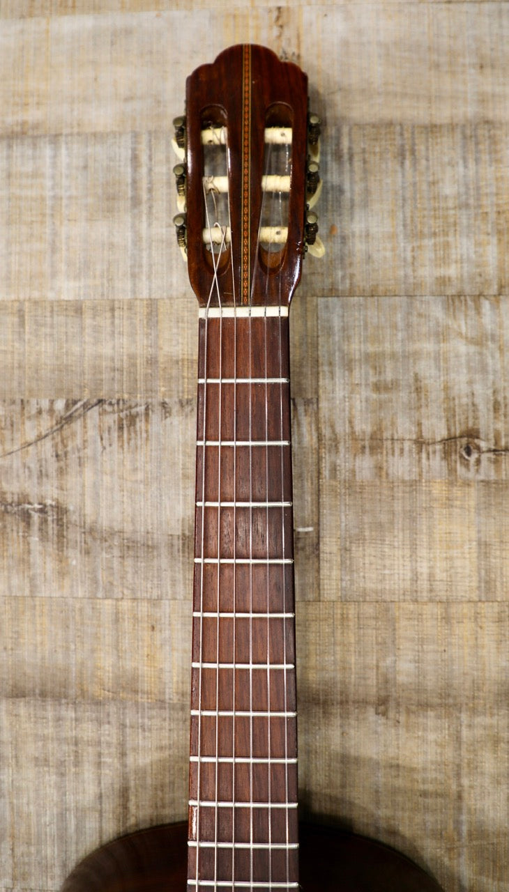 Suzuki Model 80 Classical Acoustic