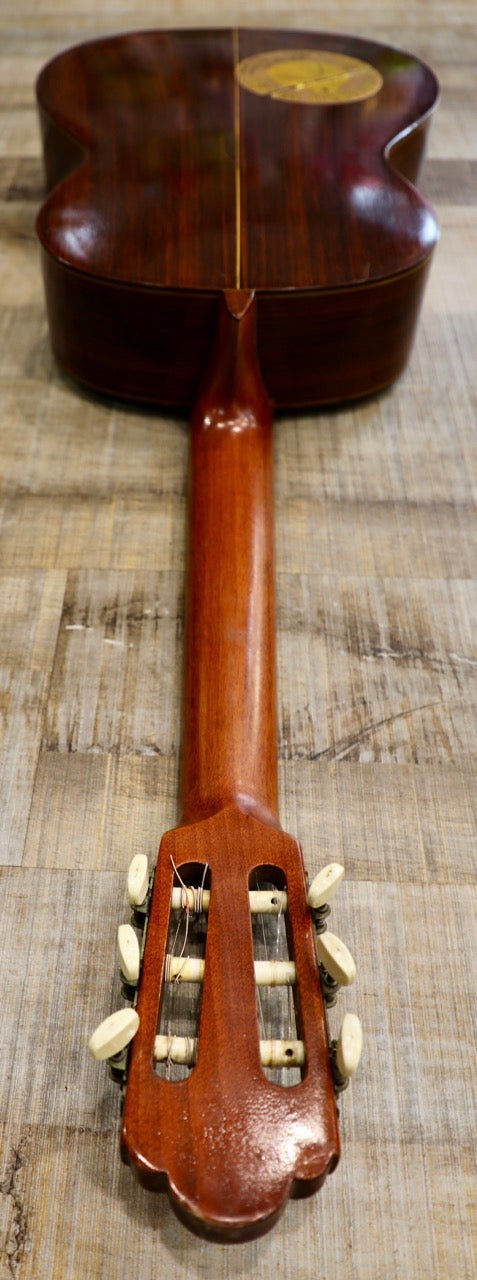 Suzuki Model 80 Classical Acoustic