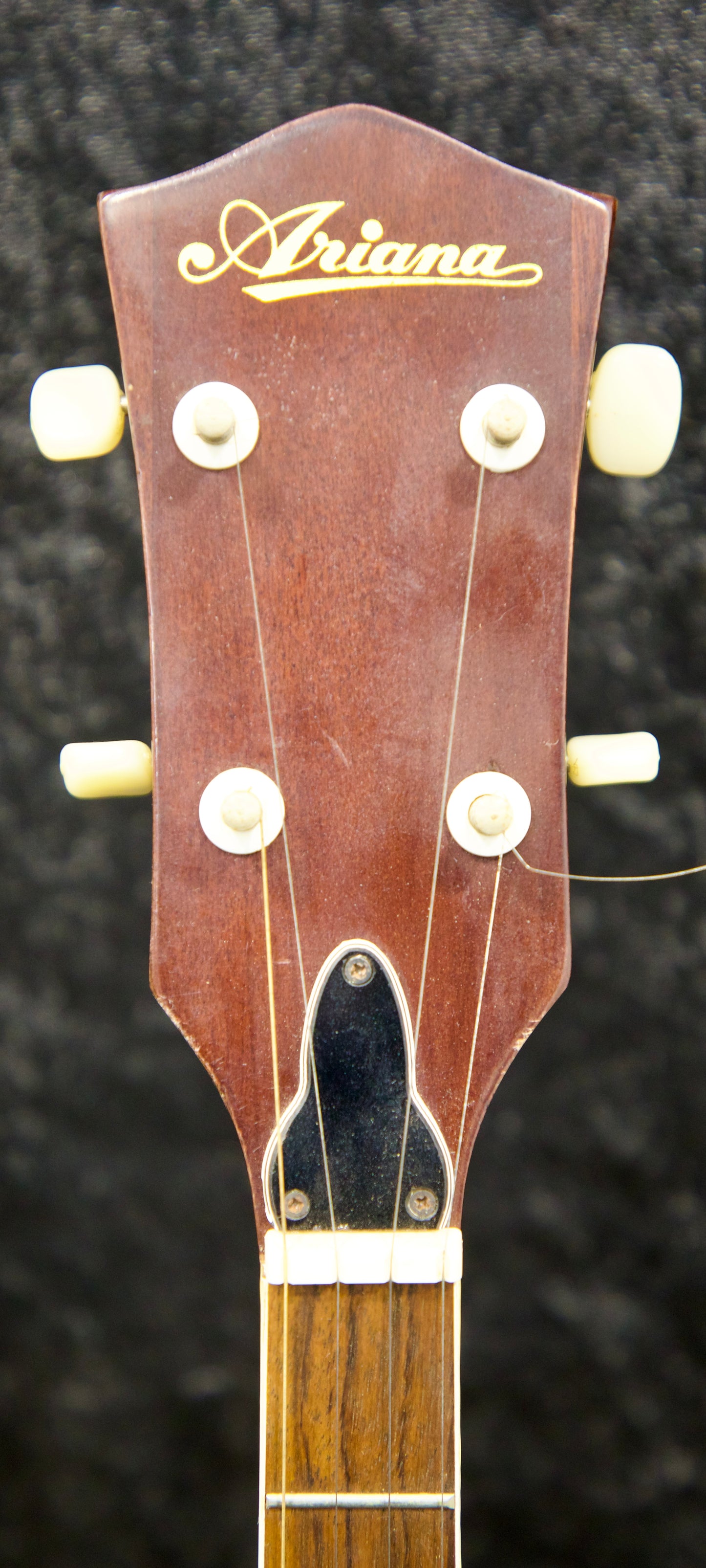 Vintage Ariana 5-String Banjo – Made in Japan – Original Hard Case