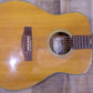 Suzuki 12 String Acoustic F-180