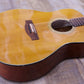 Suzuki 12 String Acoustic F-180