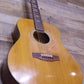 Suzuki 12 String Acoustic F-180