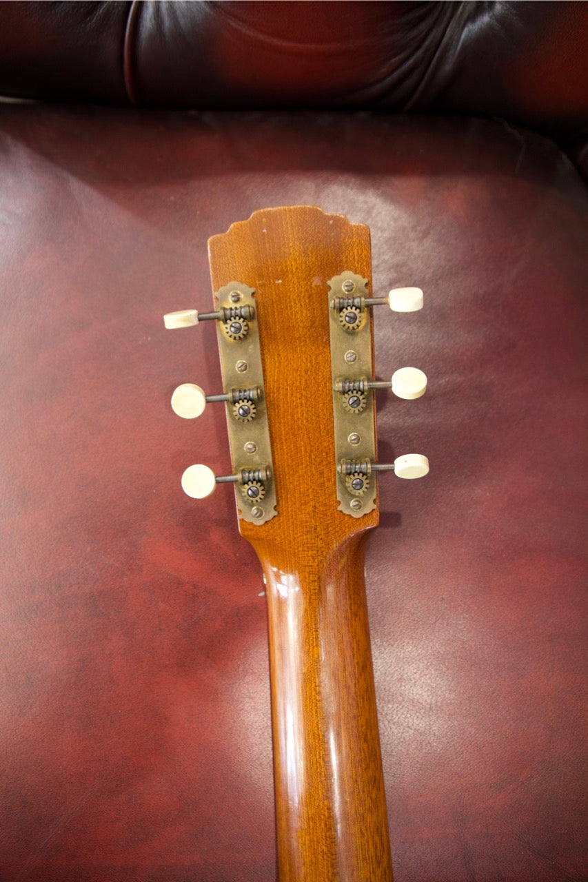 Levin 118 1957 Acoustic