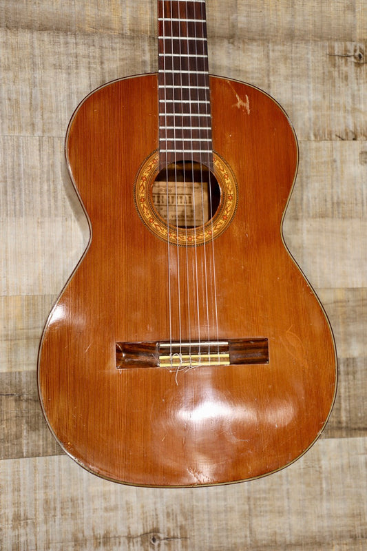 Suzuki Model 80 Classical Acoustic