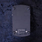 Roland AP-2 *vintage*