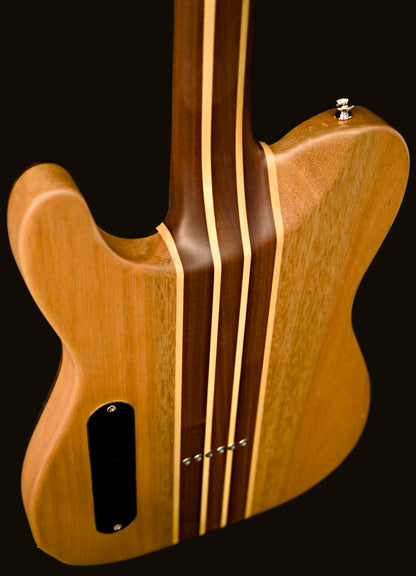 T-Dawg-H With Hard Case and Pro-Luthier Set Up