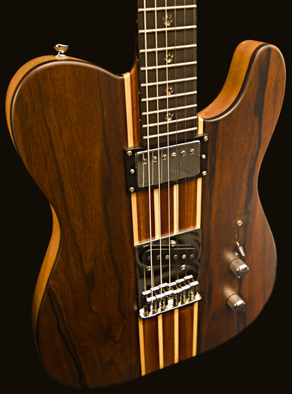 T-Dawg-H With Hard Case and Pro-Luthier Set Up