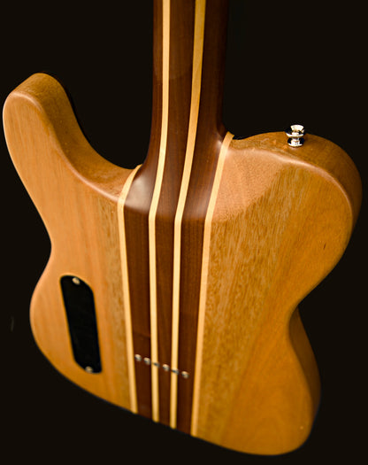 T-Dawg-H With Hard Case and Pro-Luthier Set Up