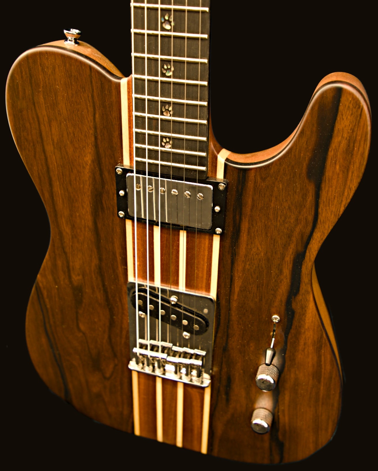 T-Dawg-H With Hard Case and Pro-Luthier Set Up
