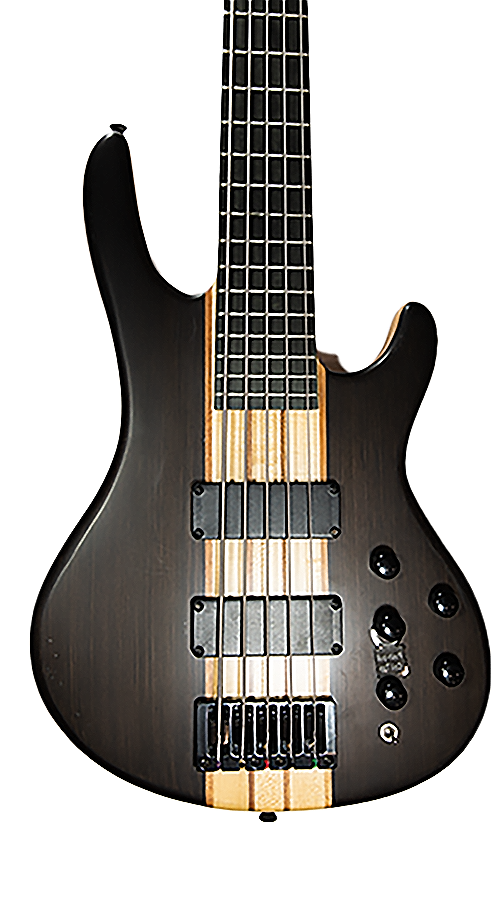 Wildwood-5 Left or Right Hand With Wolf Hard Case and Pro-Luthier Set Up