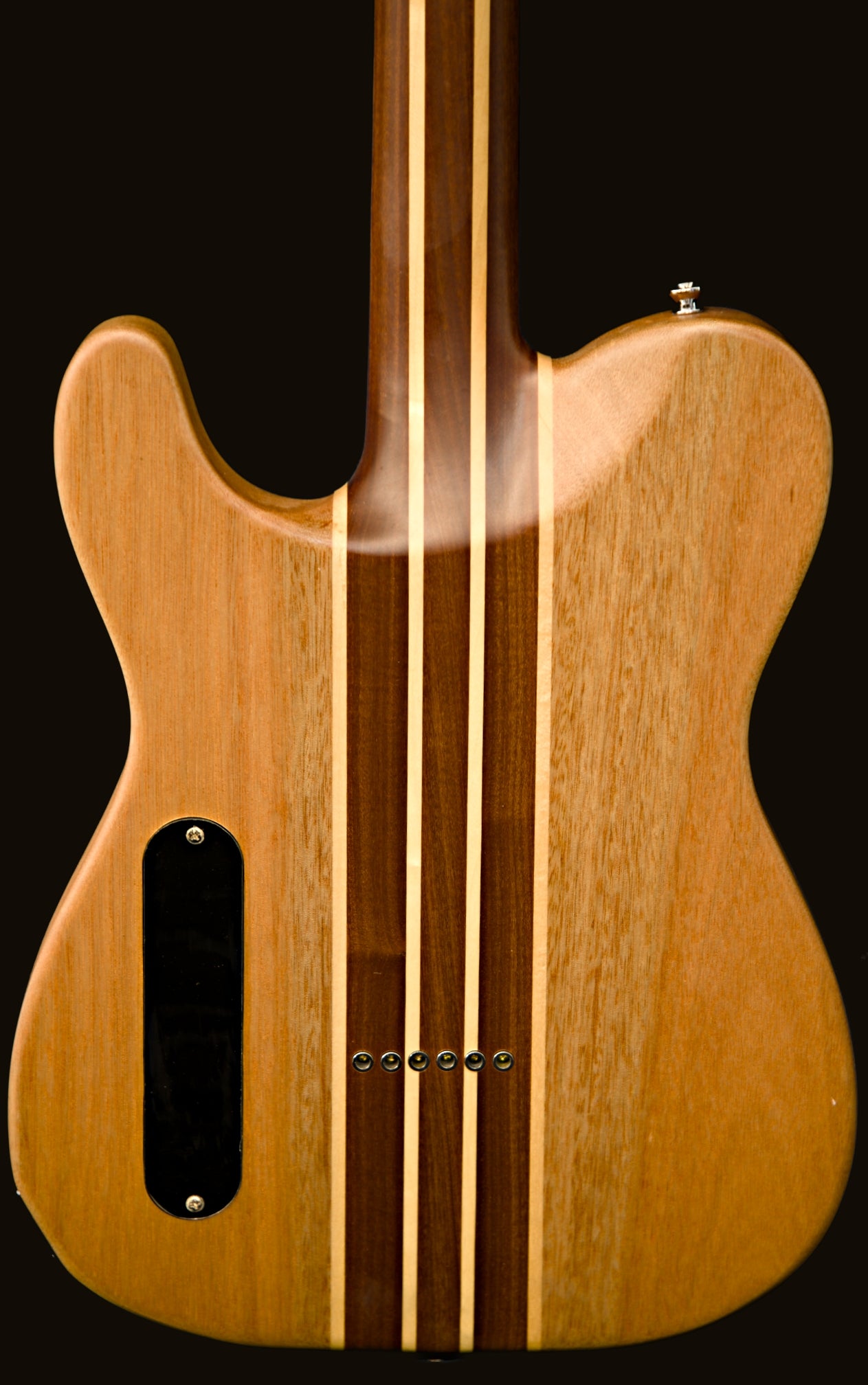 T-Dawg-H With Hard Case and Pro-Luthier Set Up