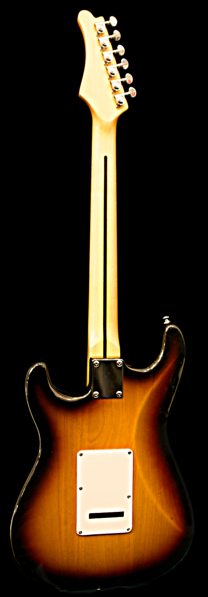 Wolfcaster with Hard Case and Pro-Luthier Set Up