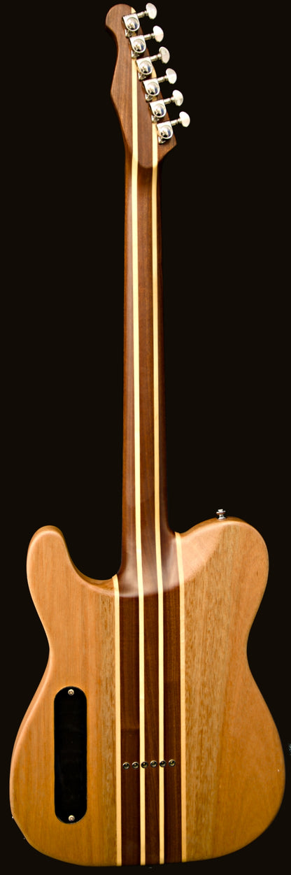 T-Dawg-H With Hard Case and Pro-Luthier Set Up
