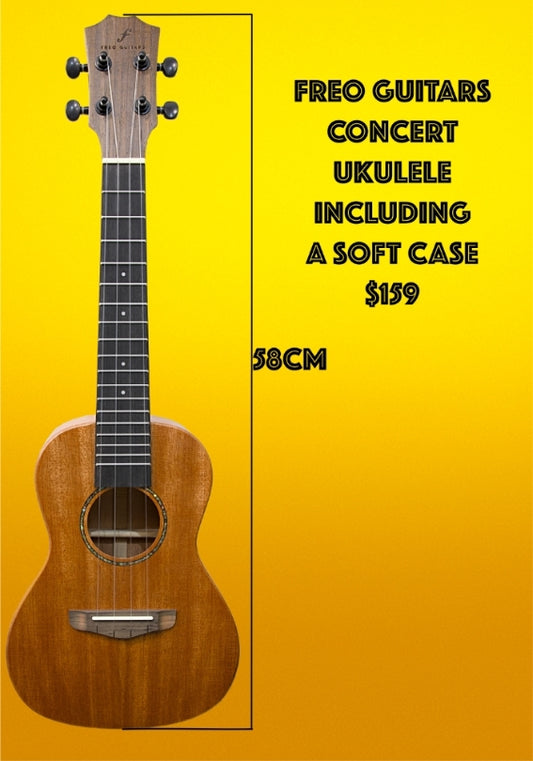 Freo Guitars  - Concert