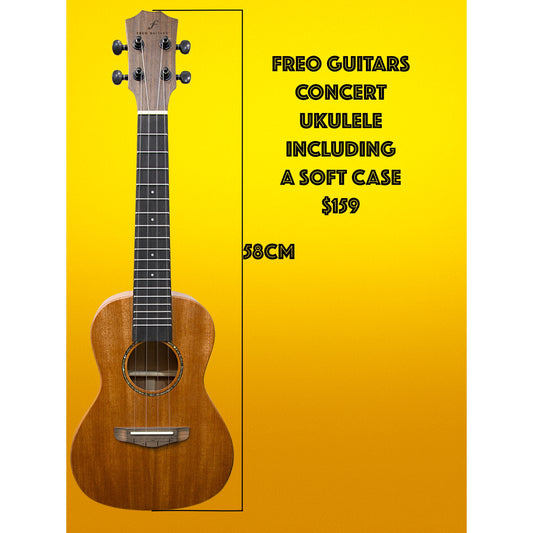 Freo Guitars  - Concert