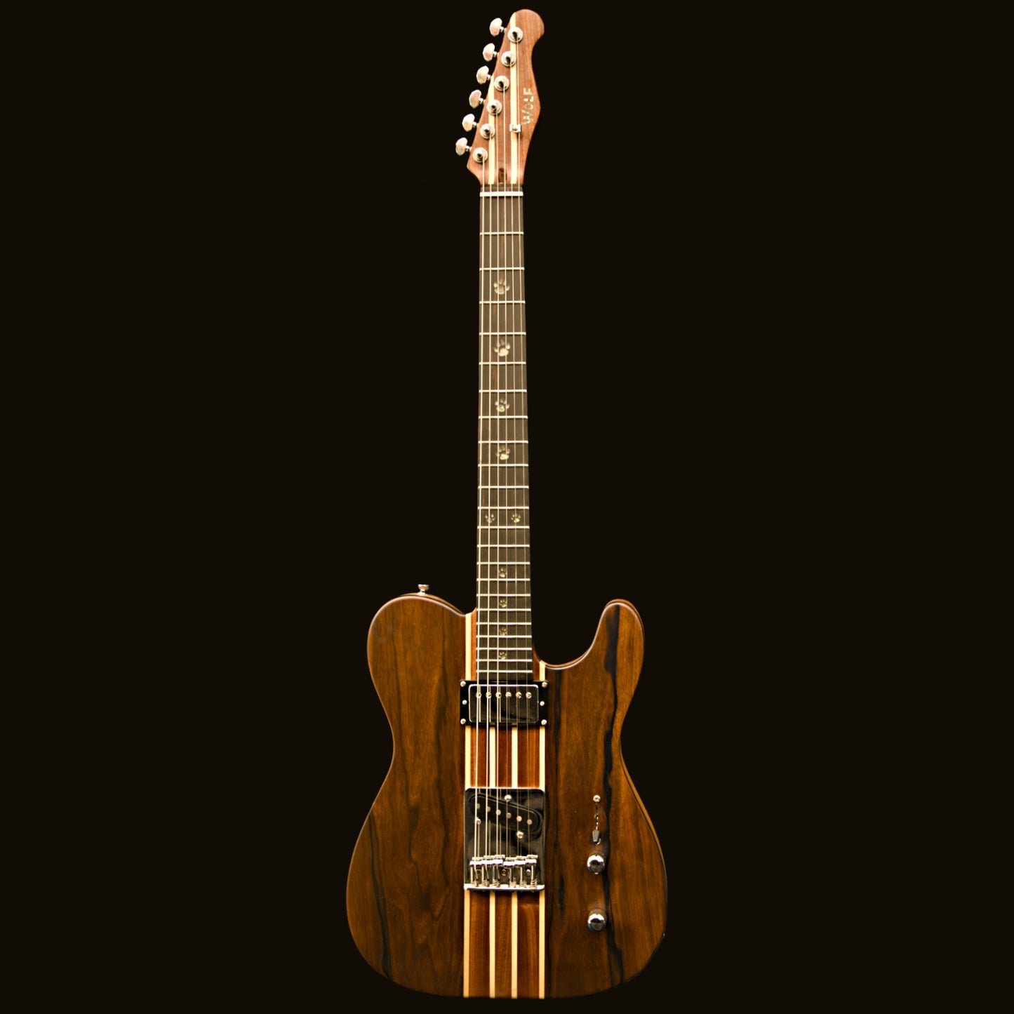 T-Dawg-H With Hard Case and Pro-Luthier Set Up