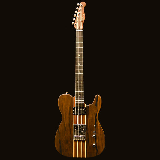 T-Dawg-H With Hard Case and Pro-Luthier Set Up