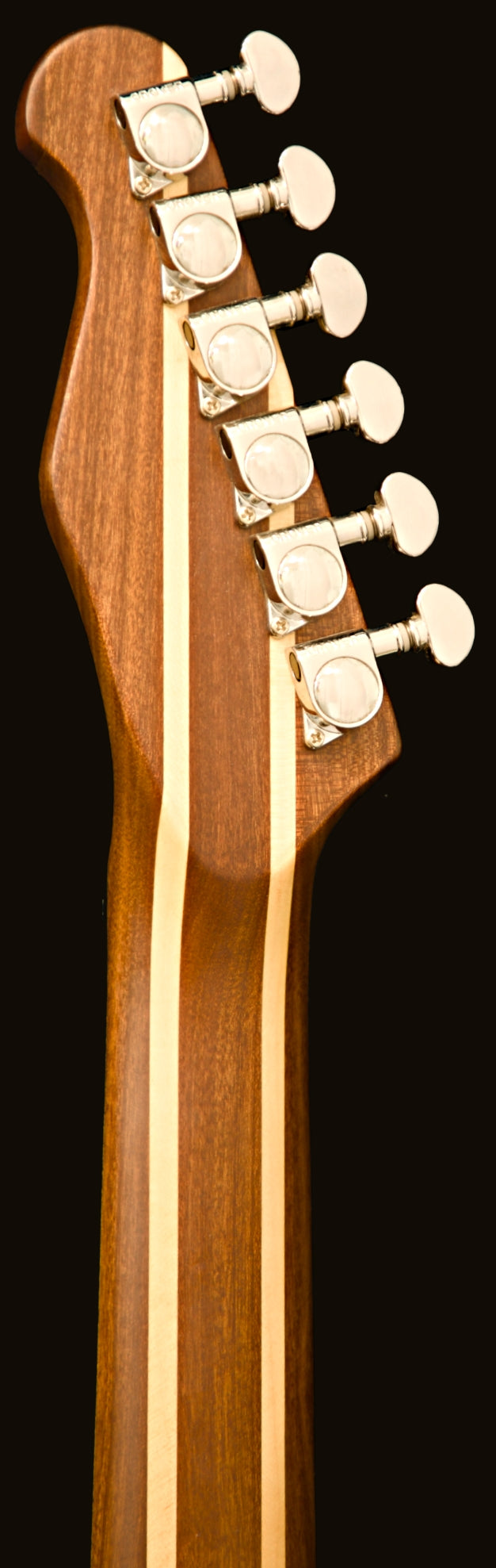 T-Dawg-H With Hard Case and Pro-Luthier Set Up