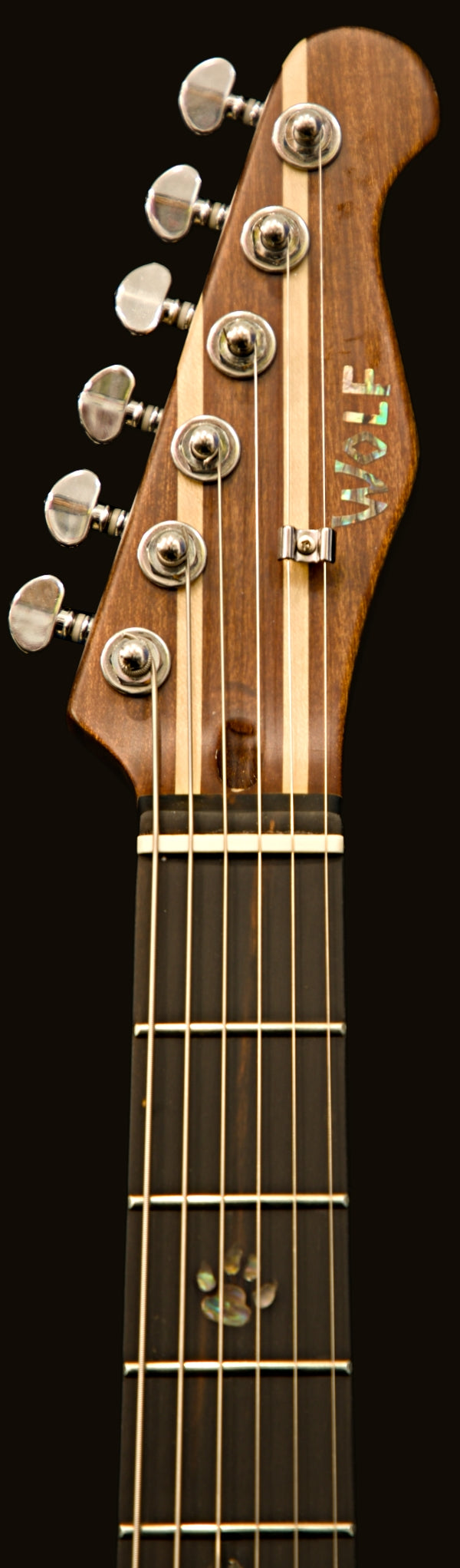 T-Dawg-H With Hard Case and Pro-Luthier Set Up