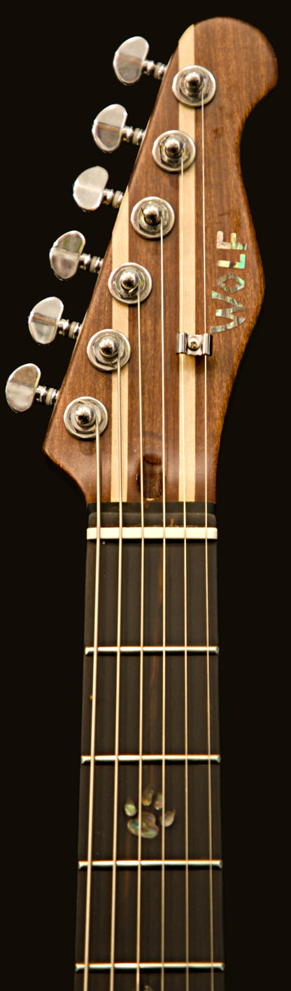 T-Dawg-H With Hard Case and Pro-Luthier Set Up
