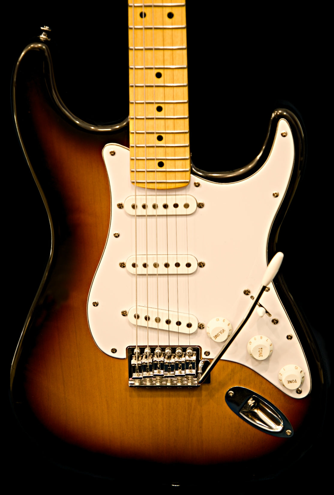 Wolfcaster with Hard Case and Pro-Luthier Set Up