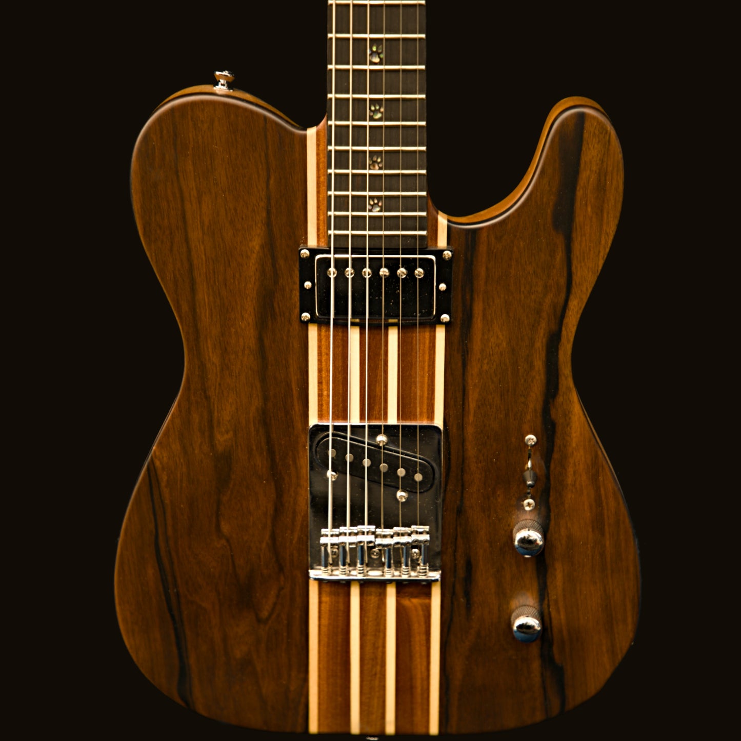 T-Dawg-H With Hard Case and Pro-Luthier Set Up