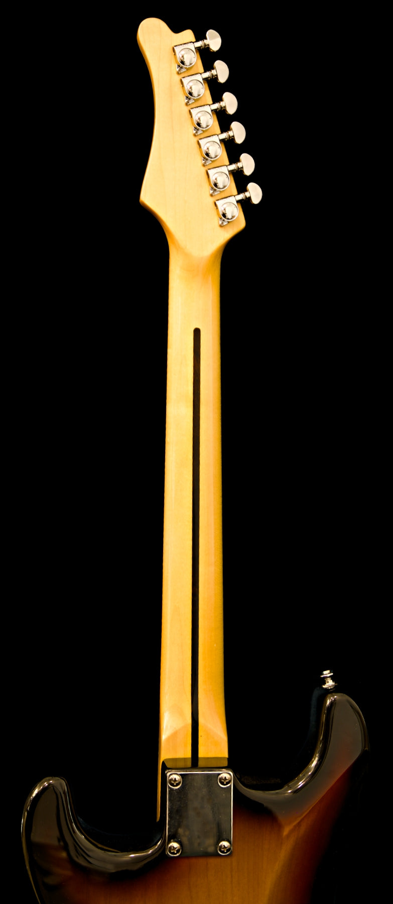 Wolfcaster with Hard Case and Pro-Luthier Set Up