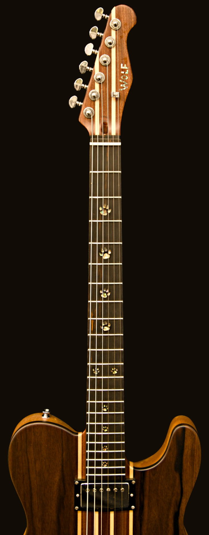 T-Dawg-H With Hard Case and Pro-Luthier Set Up