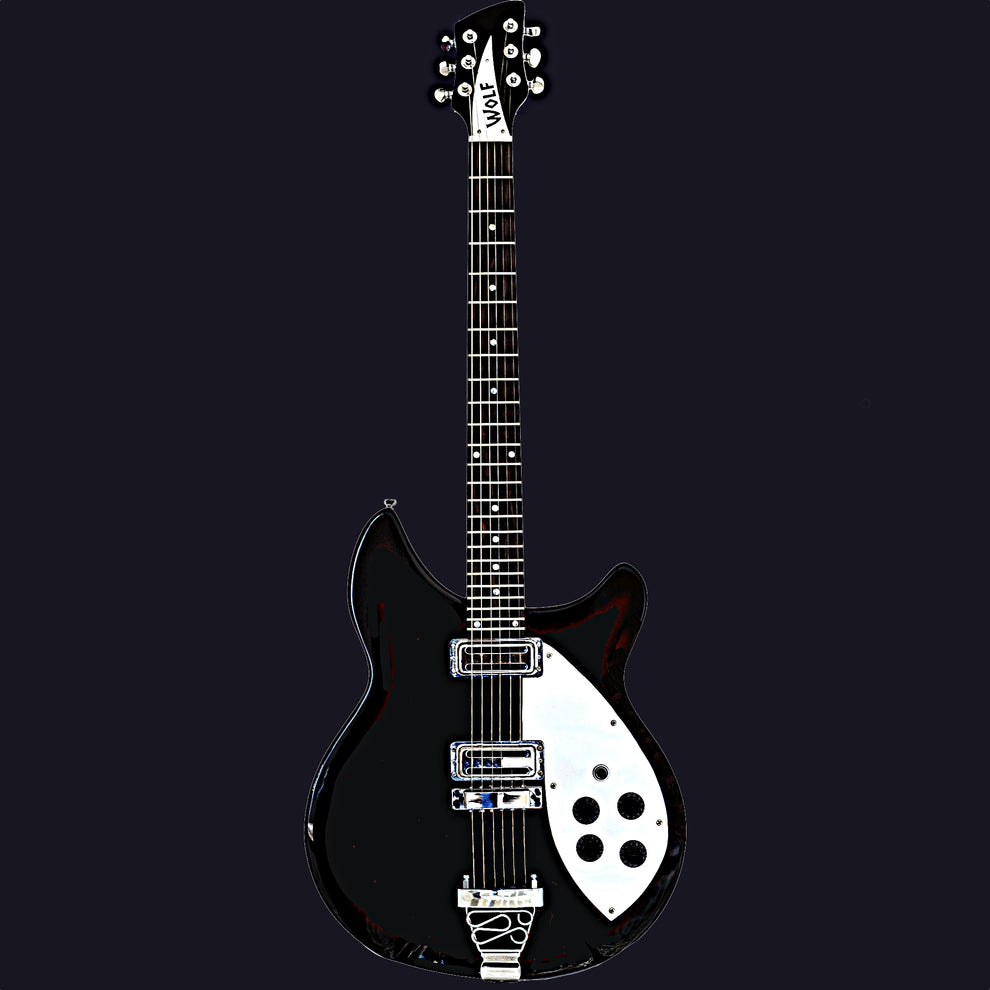 Freo Case Tuxedo Black Gloss With Wolf Hard Case and Pro-Luthier Set Up – Freo ...