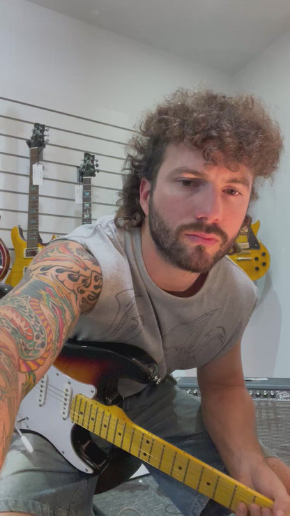 Wolfcaster with Hard Case and Pro-Luthier Set Up