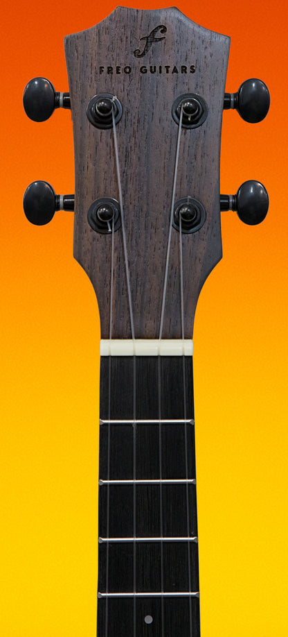 Freo Guitars  - Concert